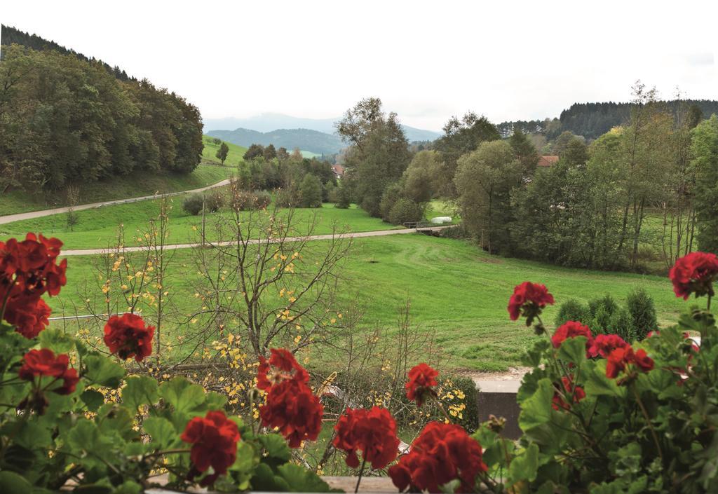 Landgasthof Adler Pelzmuehle Biederbach Номер фото
